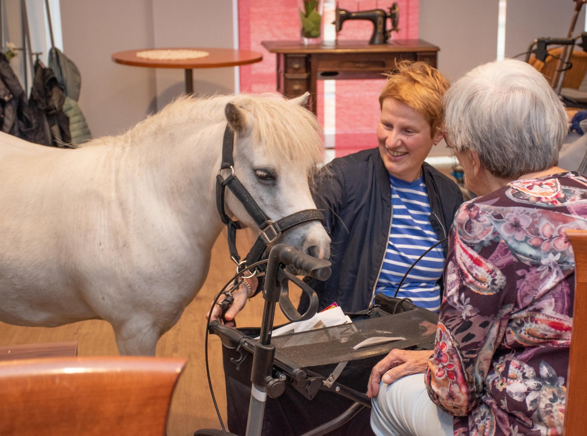 Besitzerin Melanie Kösters brachte ihr Shetlandypony Talisman zu Bewohnerinnen und Bewohnern des City-Wohnparks Gronau.